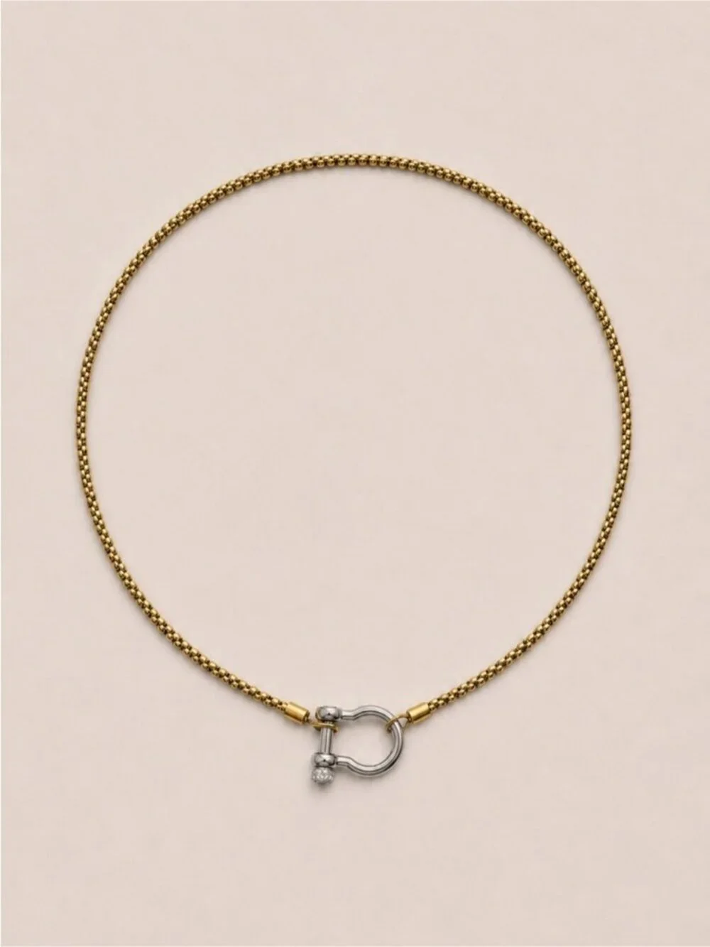 New! Gold Mixed Metal Carabiner Necklace NWOT